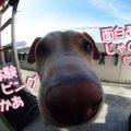 初めての体験ダイビング~ツアーの申し込みから当日のスケジュールまで