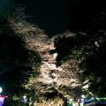 としまえん ~ イルミネーションや桜が幻想的な夜の遊園地は、デートにも宴会にも使える!