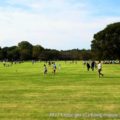 昭和記念公園のテーマ「緑の回復と人間性の向上」から気付く2つのこと- 戦争~緑と人間の関係