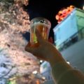 【としまえん】夜桜ライトアップが最高!お花見宴会の様子をお伝えします