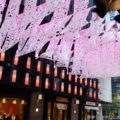 日本橋の『ニホンバシ宝探し 幻の桜 人が織りなす物語』 が面白い!攻略ヒントや参加手順メモ