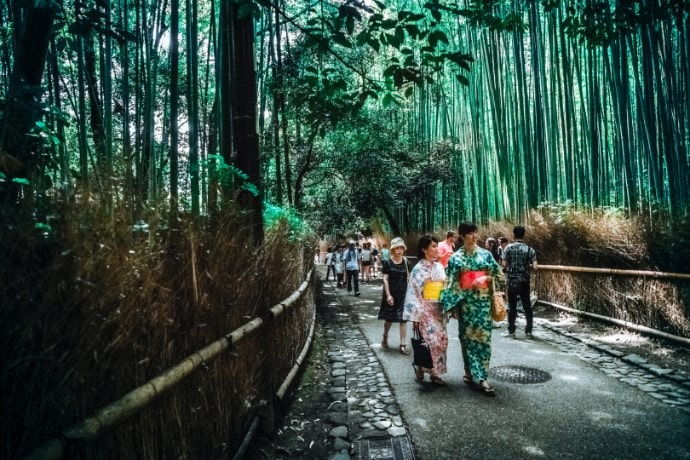 竹林ー日本らしい風景