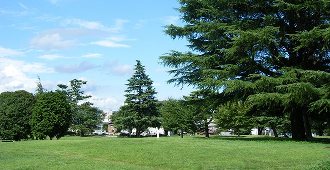 狭山稲荷山公園