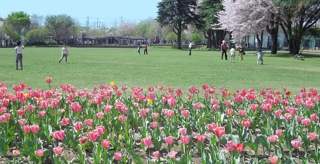 彩の森入間公園
