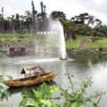 『東南植物楽園』の楽しみ方とお得なクーポン!沖縄の癒しとパワーの観光スポット