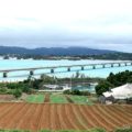 沖縄の絶景ビーチやおしゃれカフェを満喫!恋島『古宇利島』へ行ってみよ!